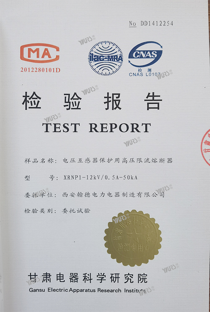 XRNP1-12kV/0.5A-50kA